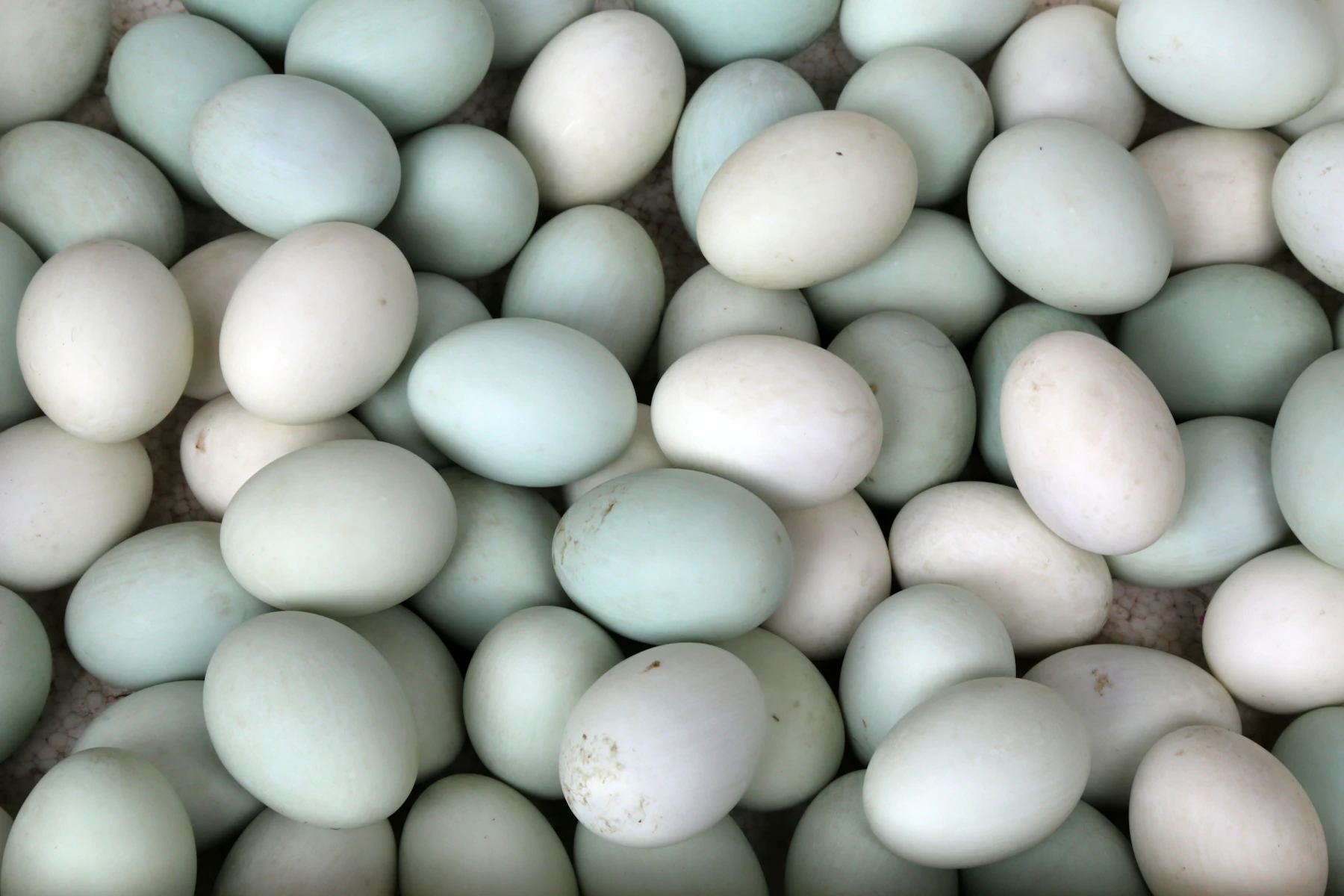 A pile of large pale blue-green and off-white eggs seen from above