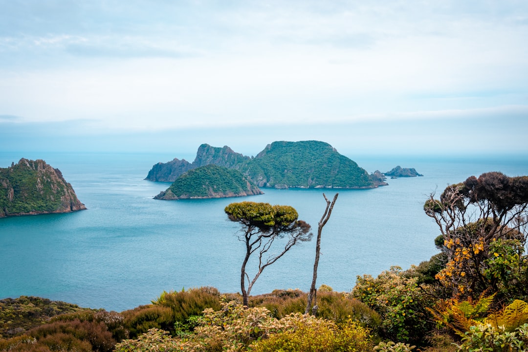 green trees on island during daytime