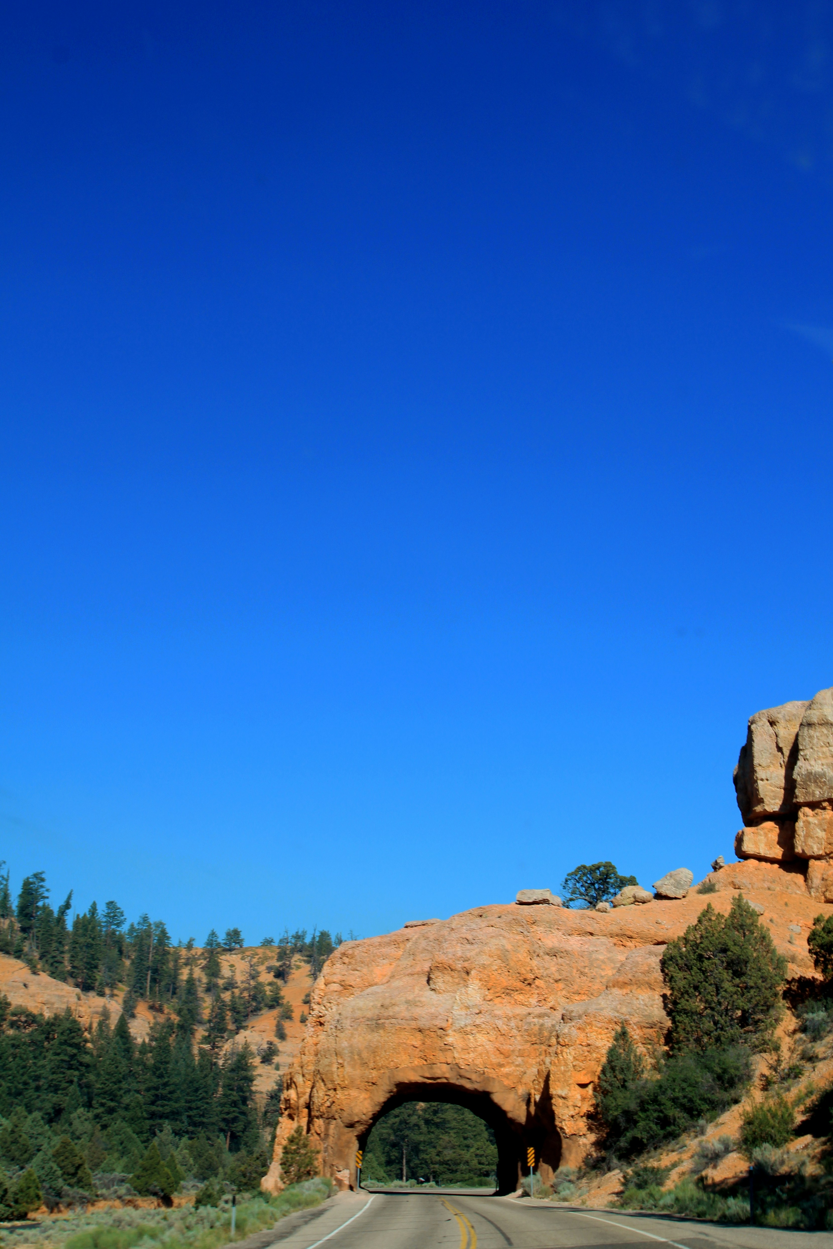 Photo by mattiabericchia