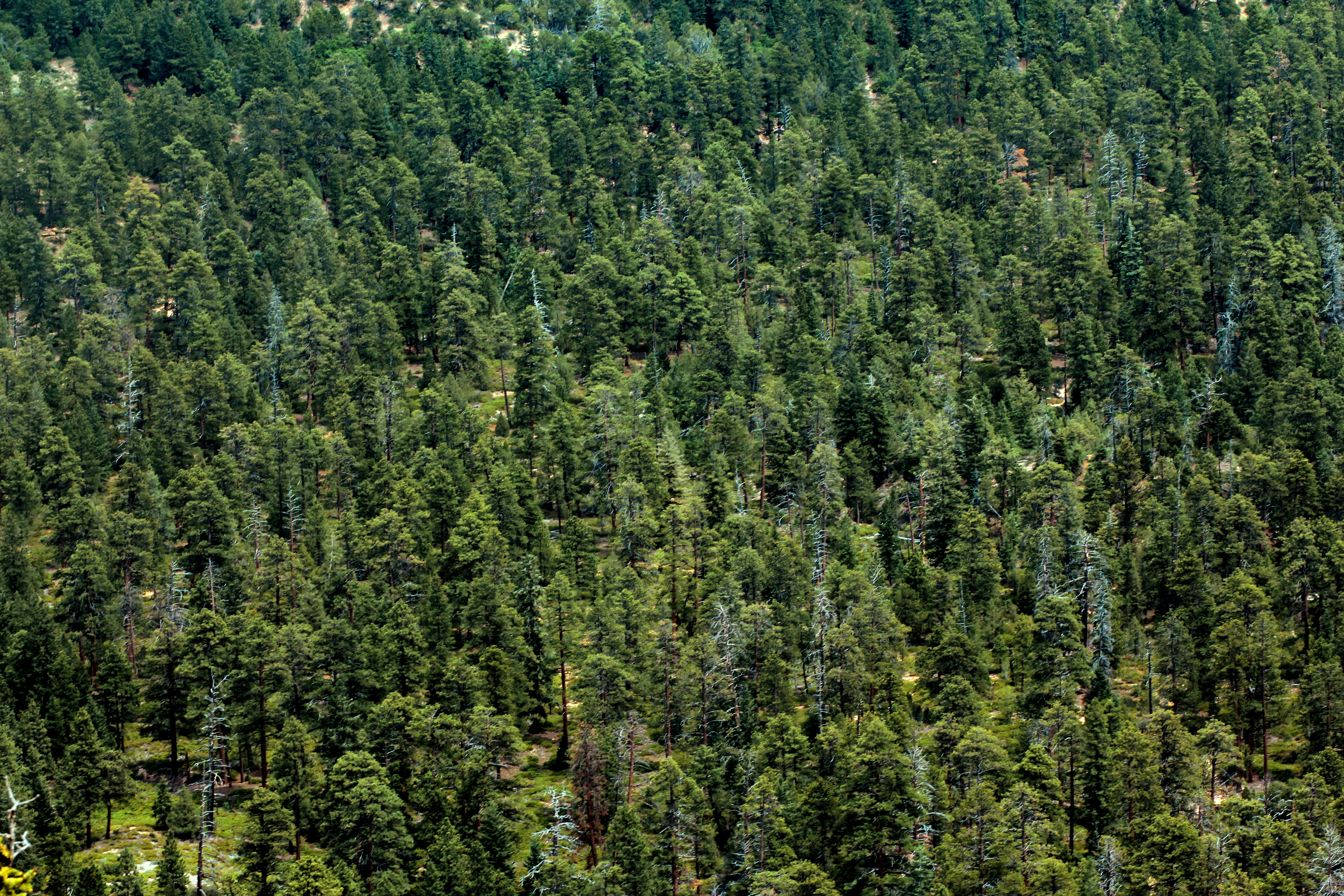 Photo by mattiabericchia