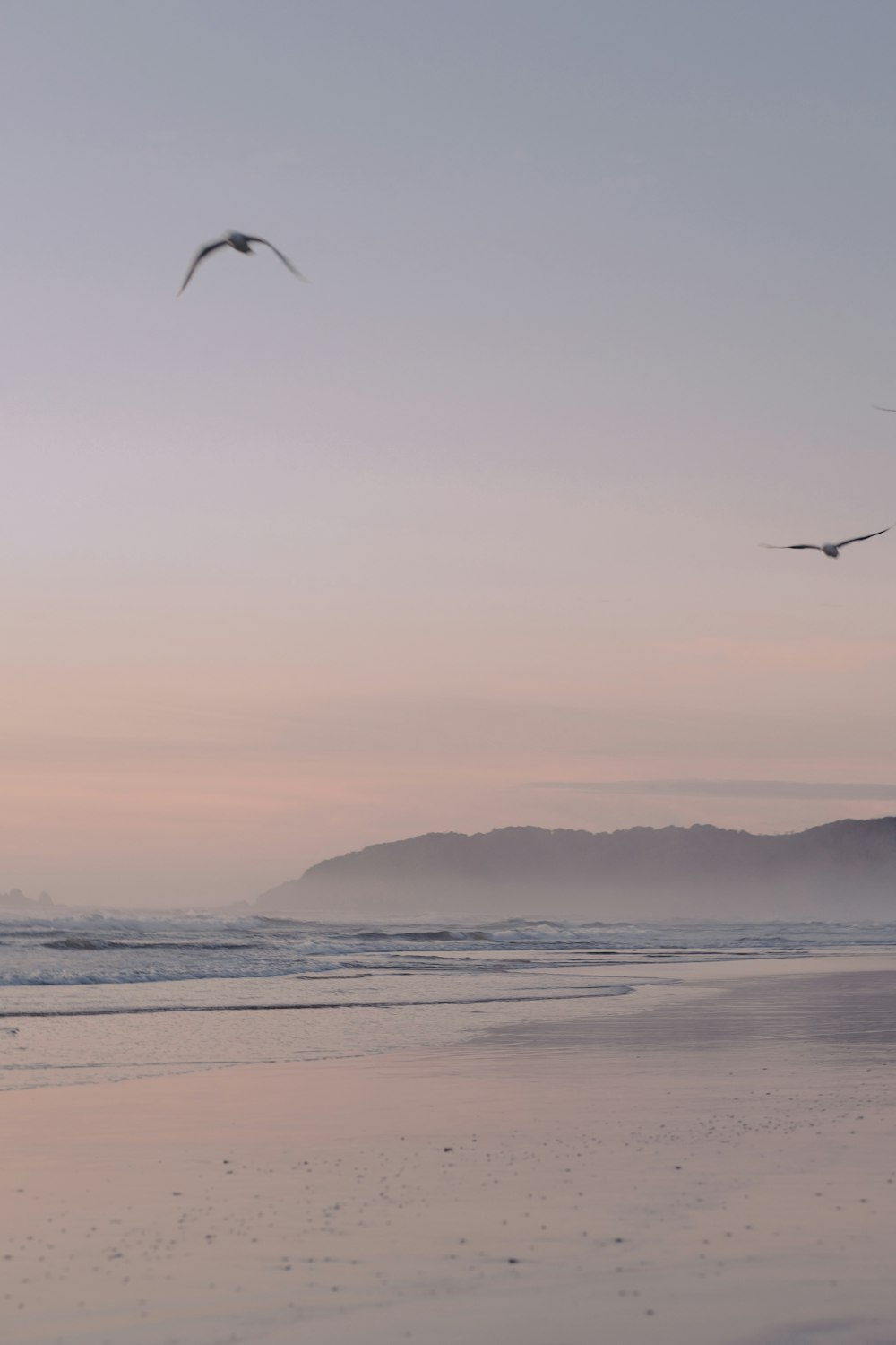 birds flying over the sea during sunset