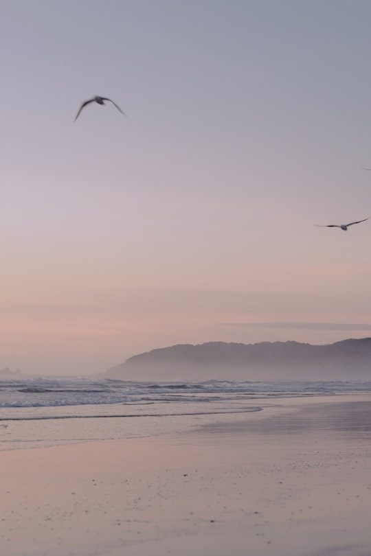 birds flying over the sea during sunset in Byron Bay Australia