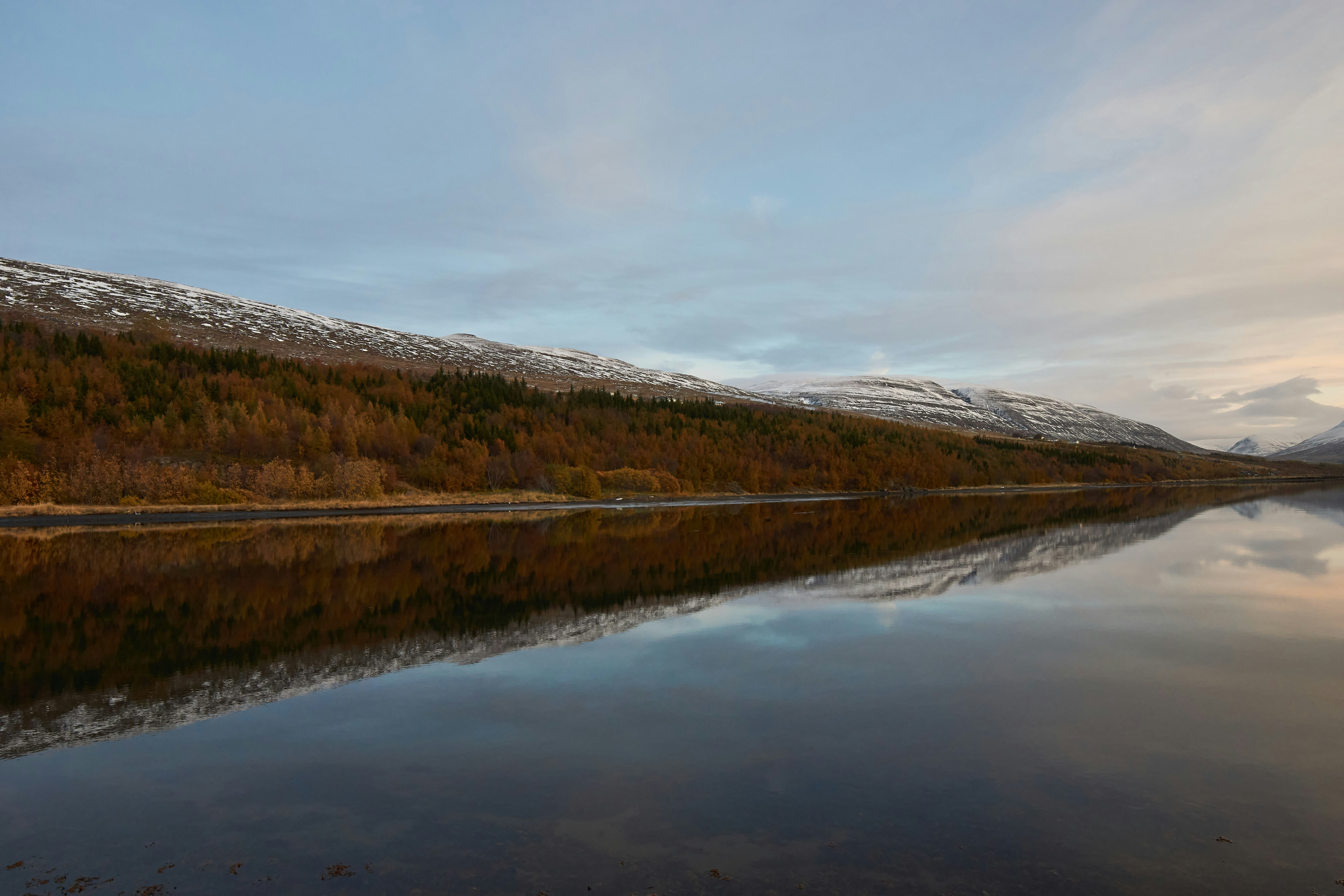 Photo by wolfgang_hasselmann