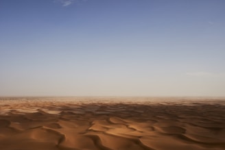 A vast desert landscape with golden sand dunes under a clear blue sky.