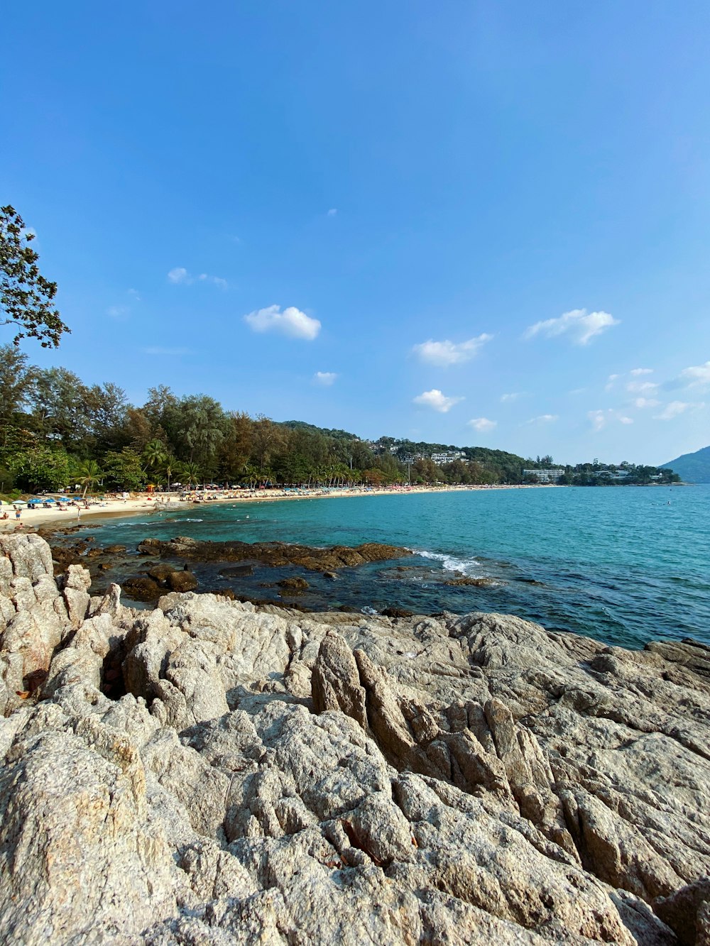 brown rocky shore near green trees under blue sky during daytime