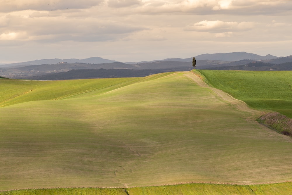 Persona in piedi sul campo di erba verde sotto il cielo nuvoloso durante il giorno