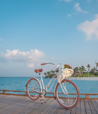 white bicycle on brown wooden dock during daytime