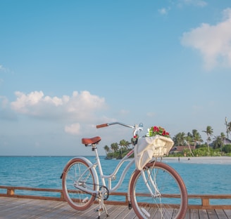 white bicycle on brown wooden dock during daytime