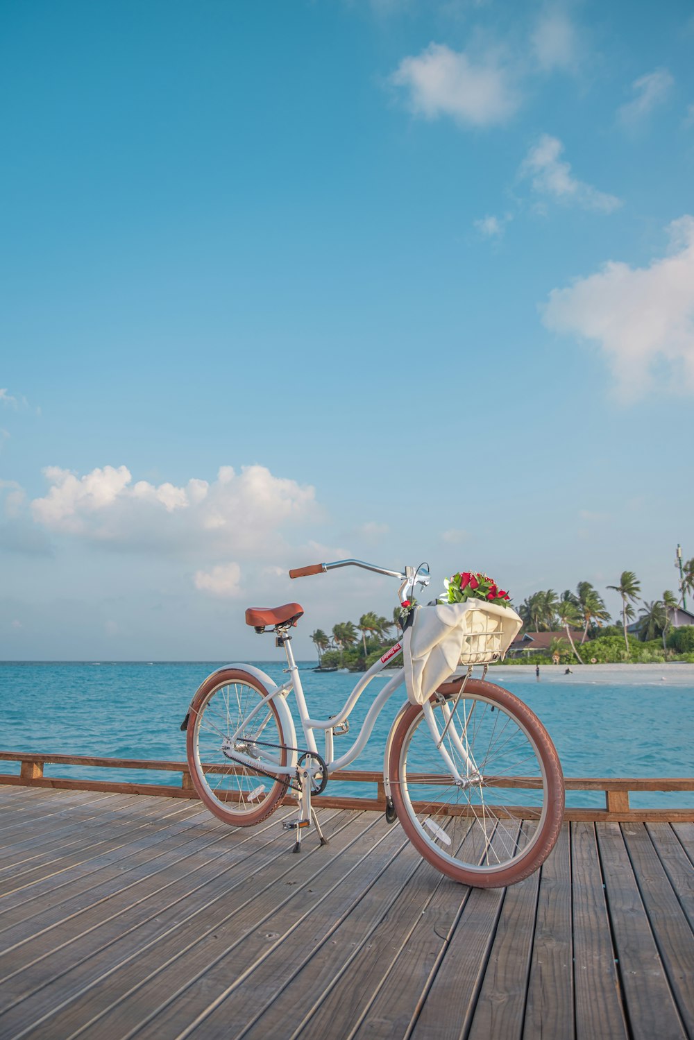 Bicicleta blanca en muelle de madera marrón durante el día