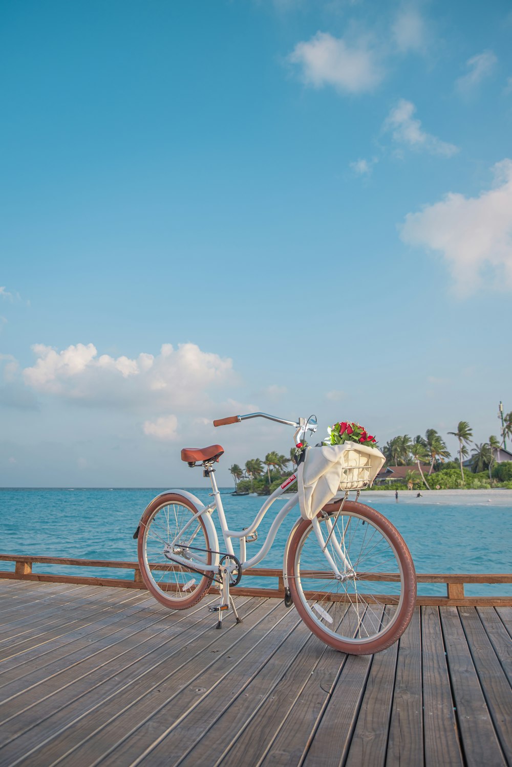 bicicletta bianca sul molo di legno marrone durante il giorno
