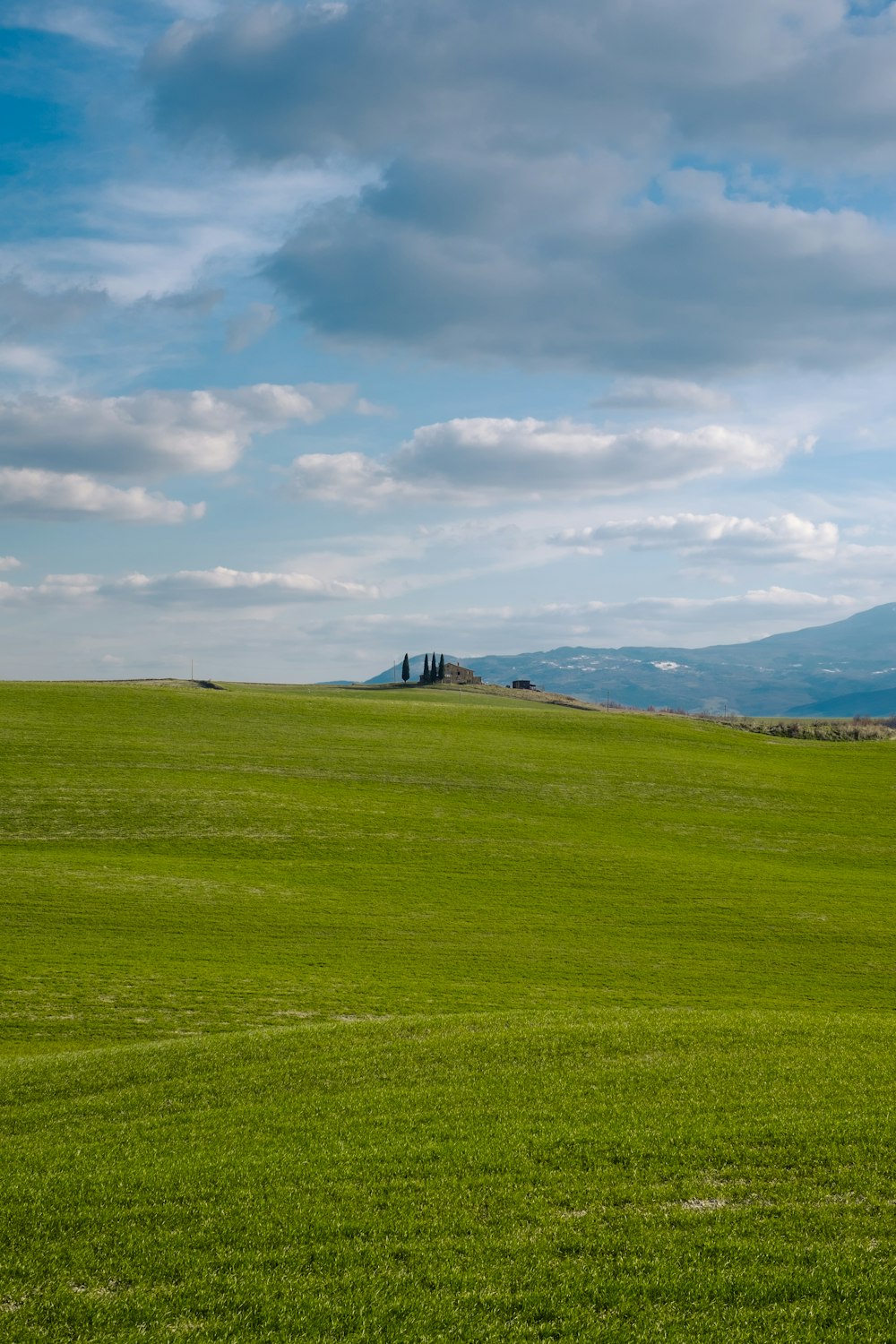 green grass field under white clouds during daytime