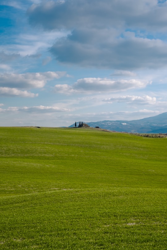 green grass field under white clouds during daytime in Tuscany Italy