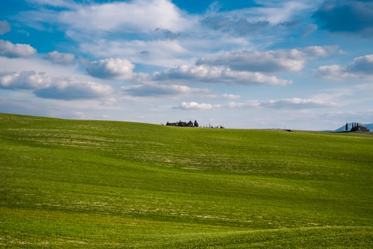 green grass field under blue sky during daytime in Tuscany Italy