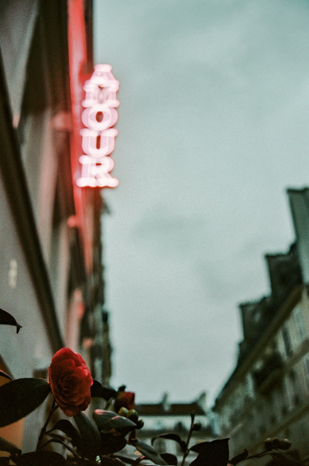 red love neon light signage