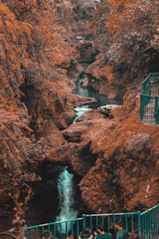 brown and green rock formation