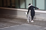 A person in a dark coat with a fur-lined hood walks a dog with a distinct spotted coat along a pavement beside a building with large windows.
