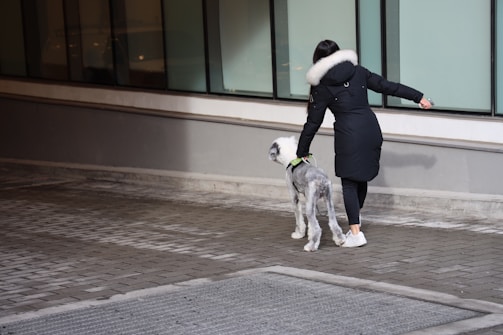 A person in a dark coat with a fur-lined hood walks a dog with a distinct spotted coat along a pavement beside a building with large windows.