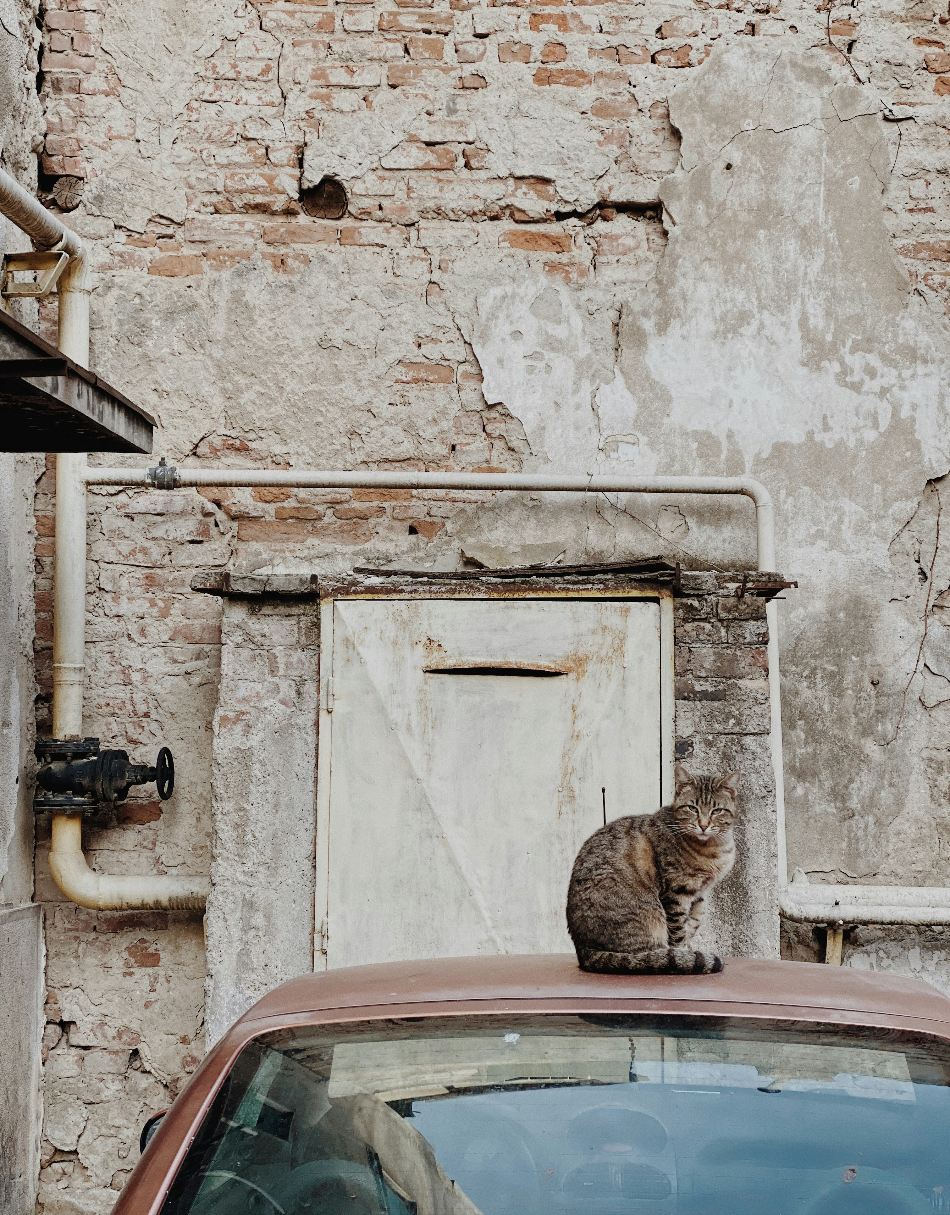 Photo by andradaghiurco