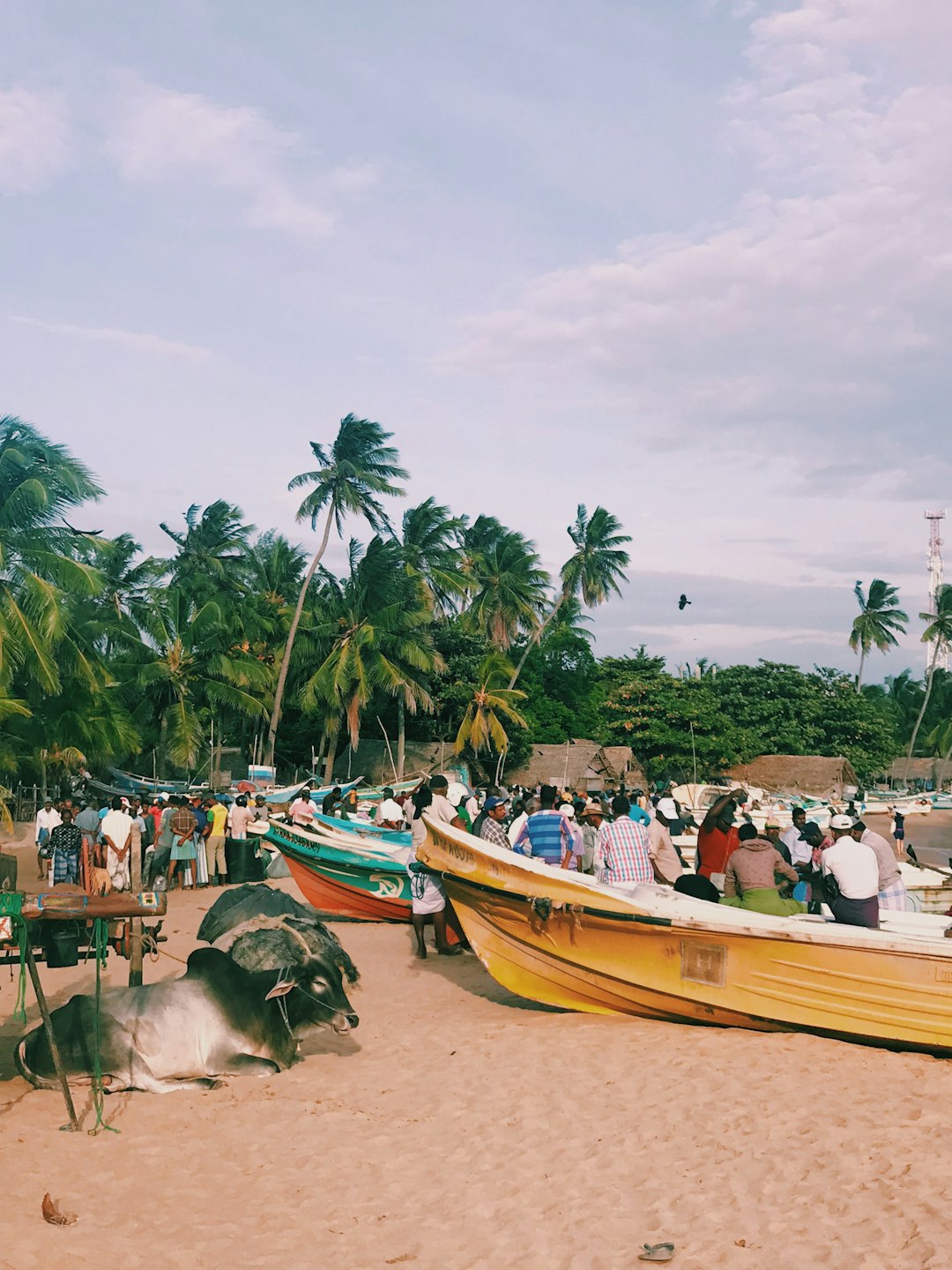 Waterway photo spot Sri Lanka Sri Lanka