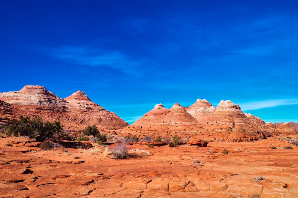 Brauner Rocky Mountain tagsüber unter blauem Himmel