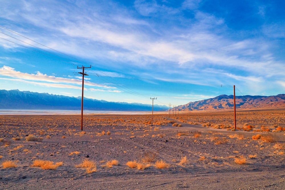 brown field under blue sky during daytime