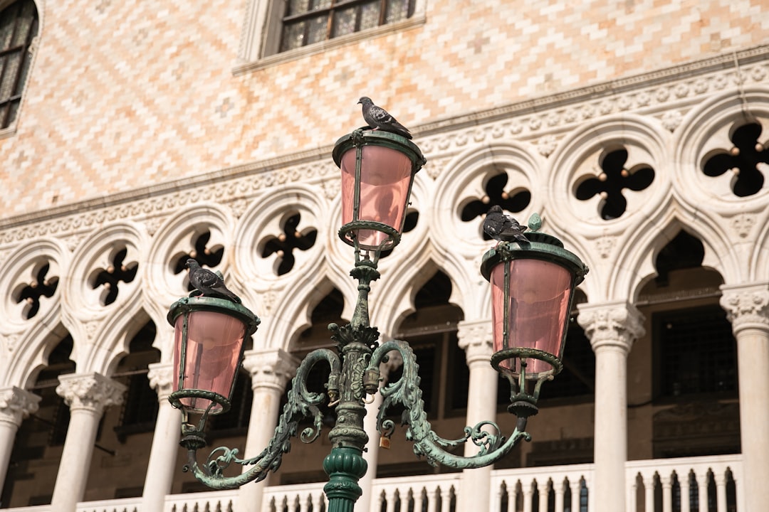 Palace photo spot Venise Venice