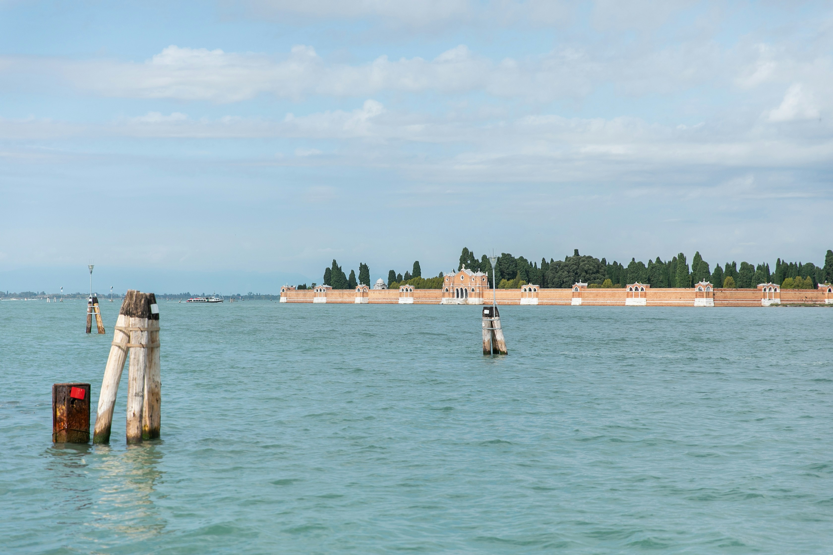 people on beach during daytime