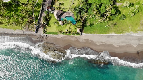 Aerial view of a tropical beach scene featuring a vibrant turquoise sea meeting a sandy shore, with waves gently crashing. Above the beach, a lush green area with numerous palm trees accompanies a uniquely shaped swimming pool, part of a landscaped property.