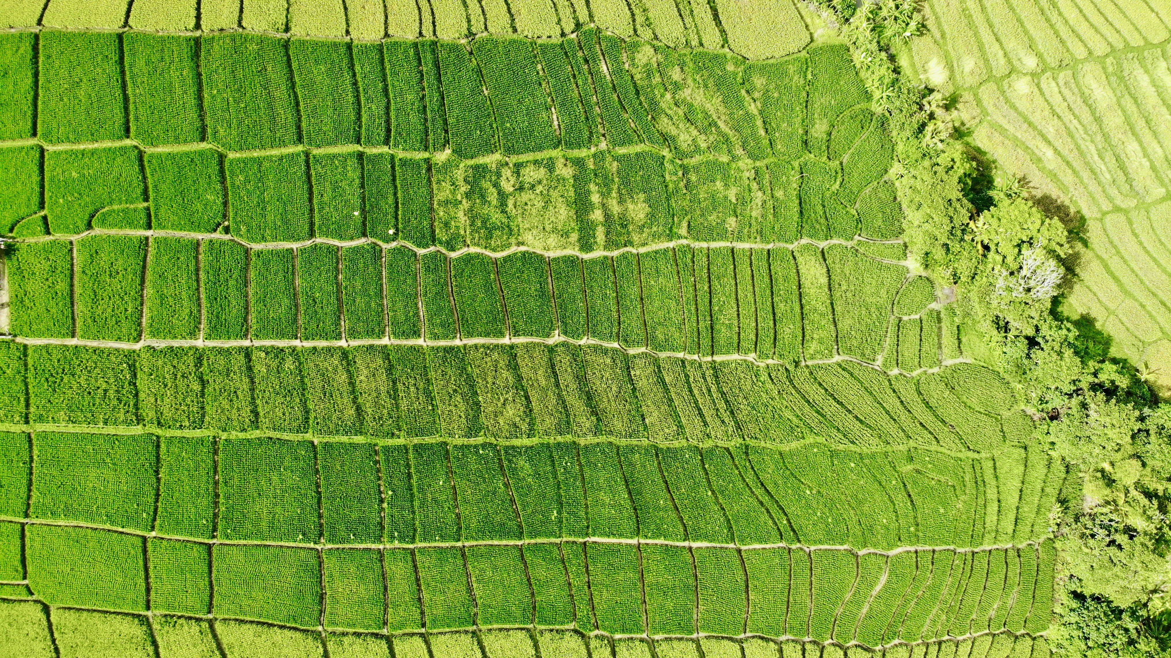 Photo by arslanbekov