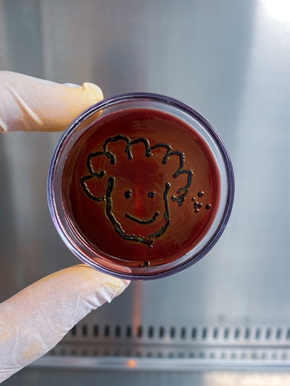 Portrait of a smiling food microbiologist in a lab coat holding a petri dish.