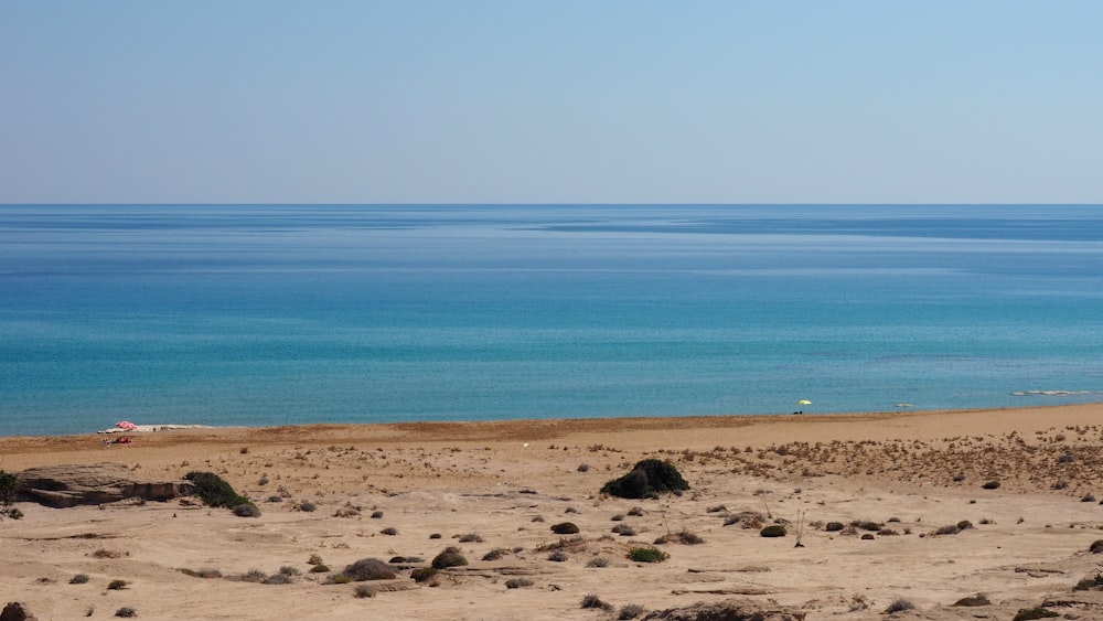 brown sand near blue sea during daytime