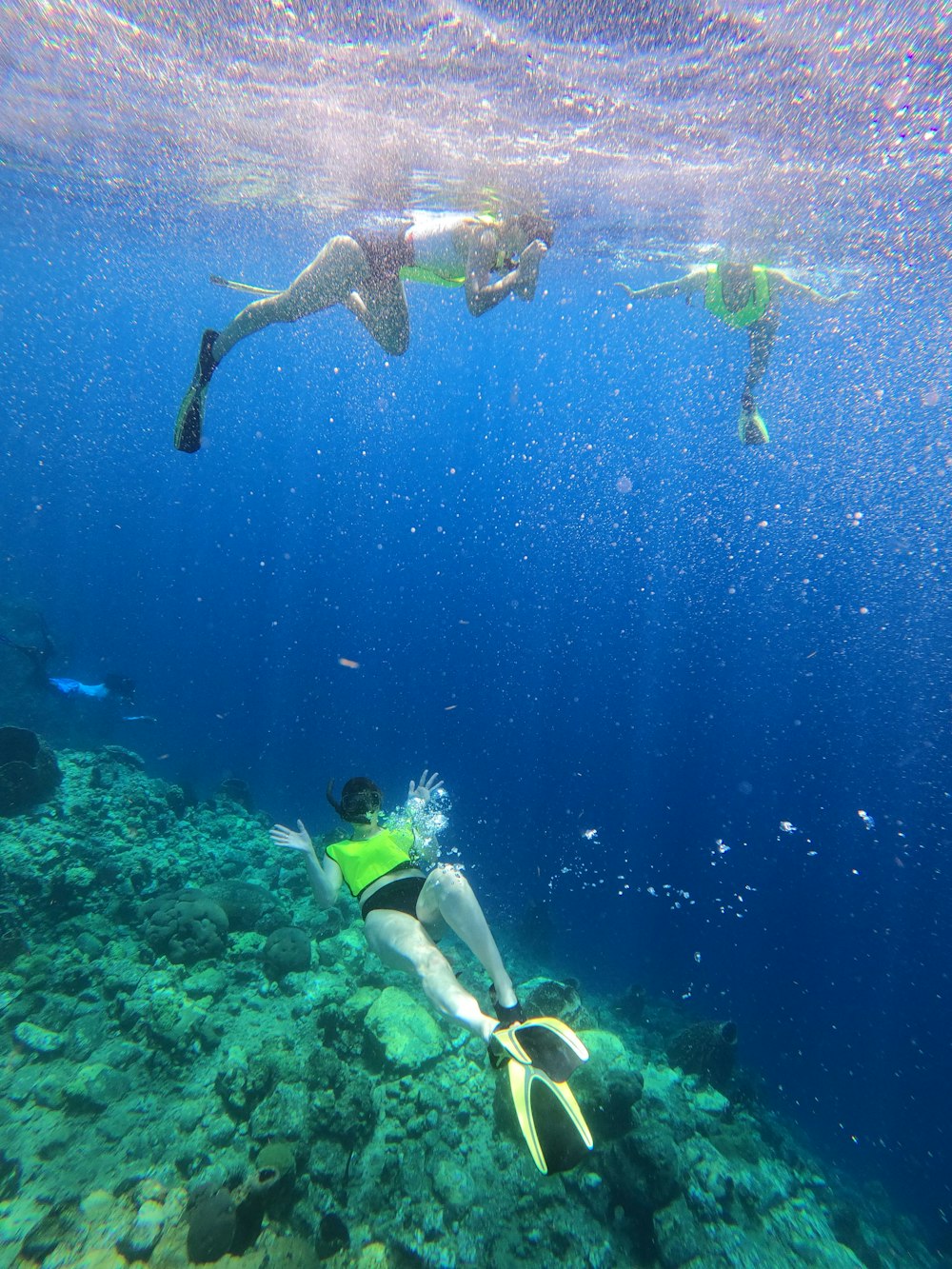 femme en bikini bleu et blanc nageant dans l’eau