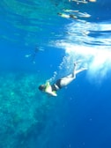 person in black shorts swimming in water