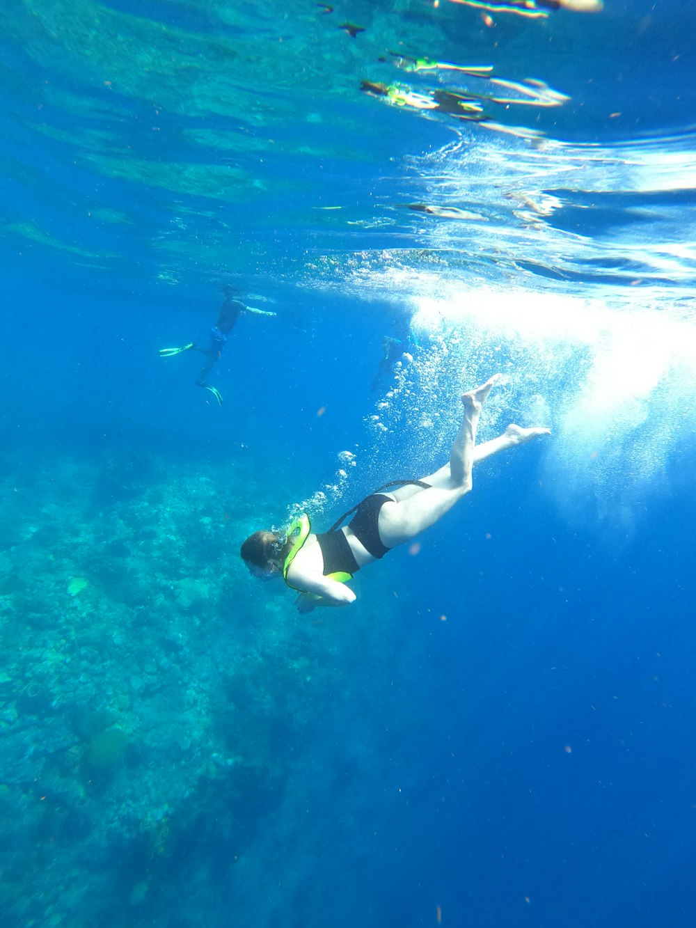 person in black shorts swimming in water