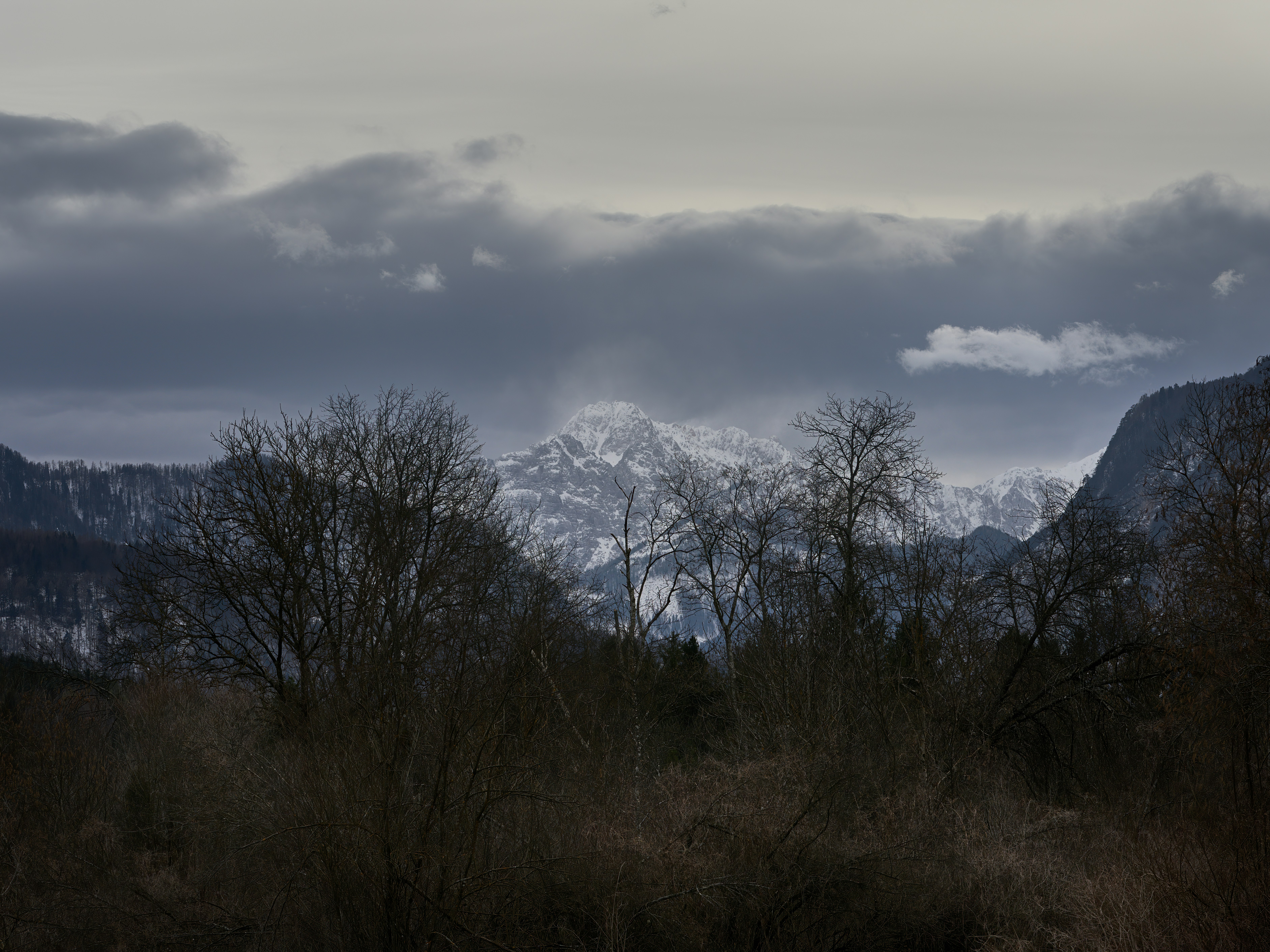 Photo by pliessnig
