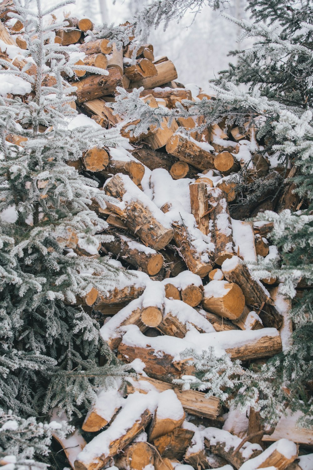 brown and gray rocks on snow covered ground