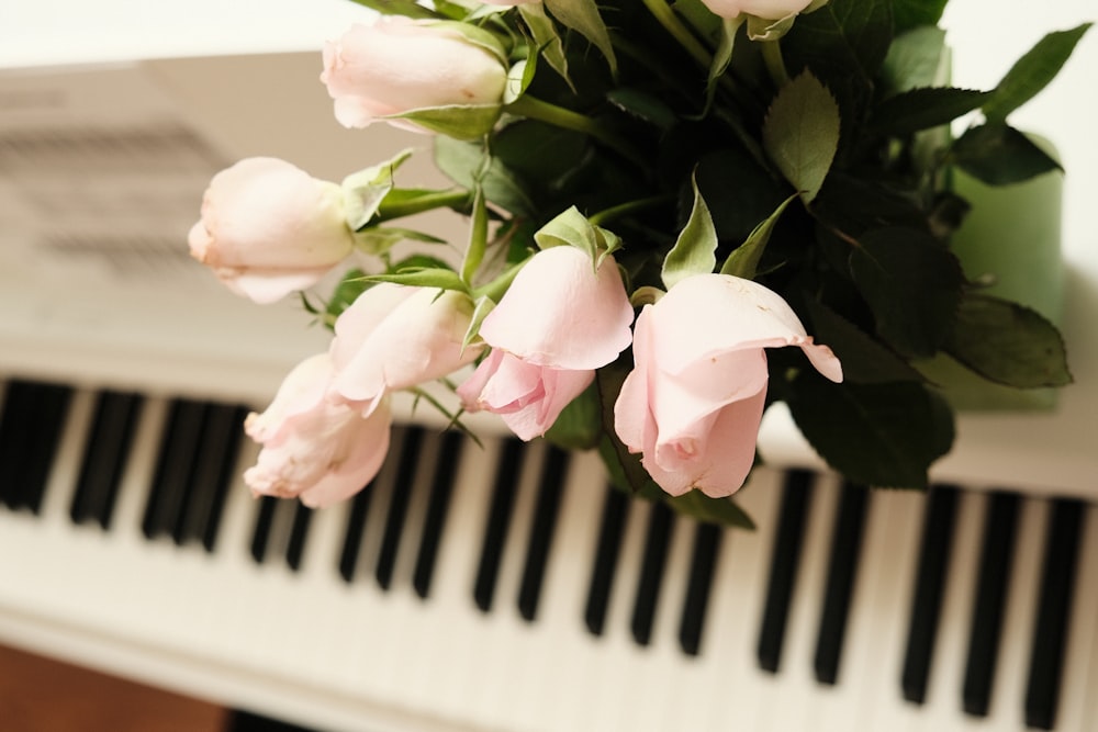 white and pink moth orchids on white piano