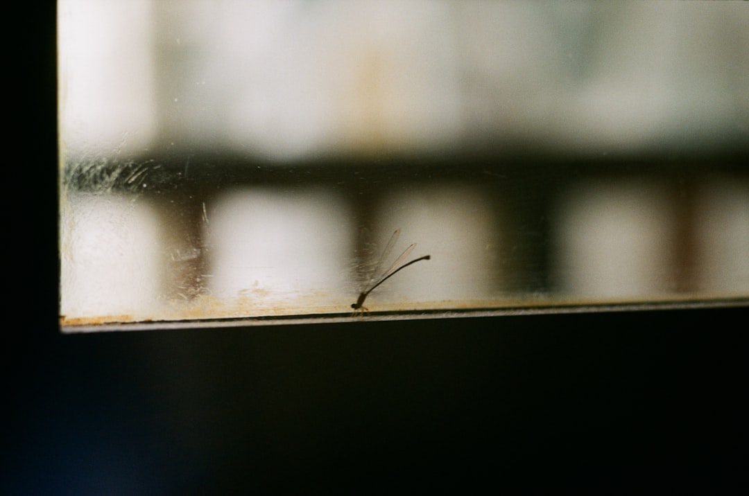 brown stick on blue surface