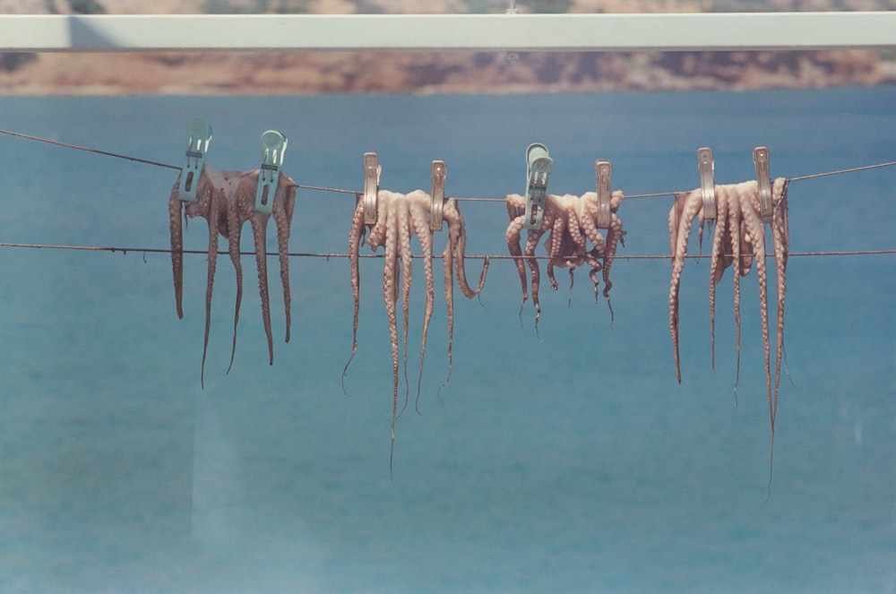 brown wooden sticks on blue body of water