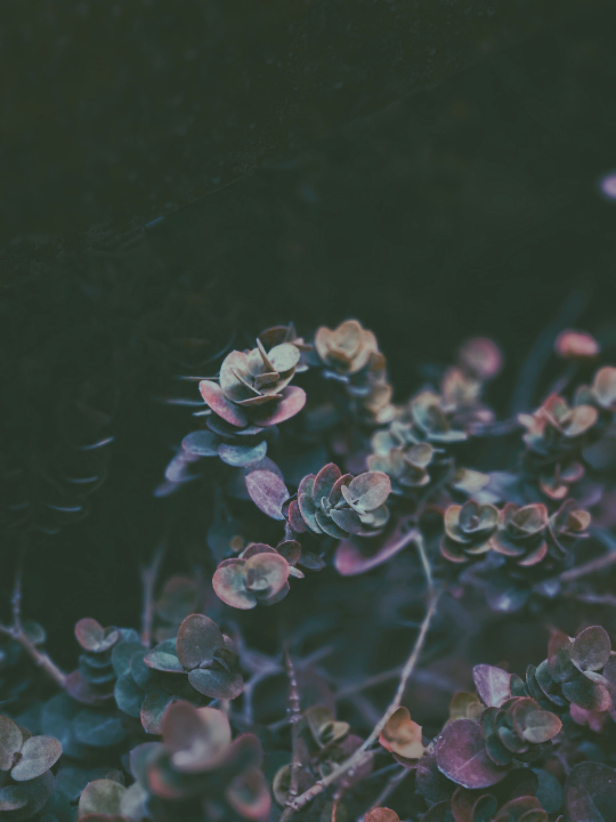 Photo by nomankshahid