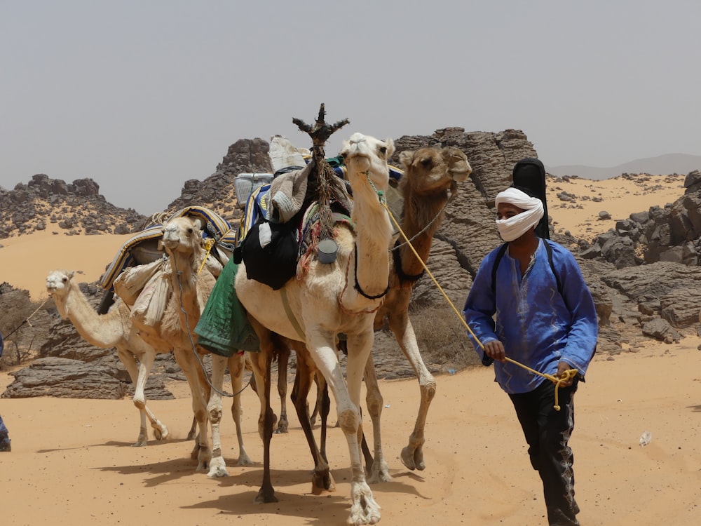 man in blue dress shirt riding camel during daytime