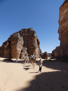 A caravan of camels led by a person traverses a sandy desert landscape, flanked by towering rocky cliffs under a clear blue sky.