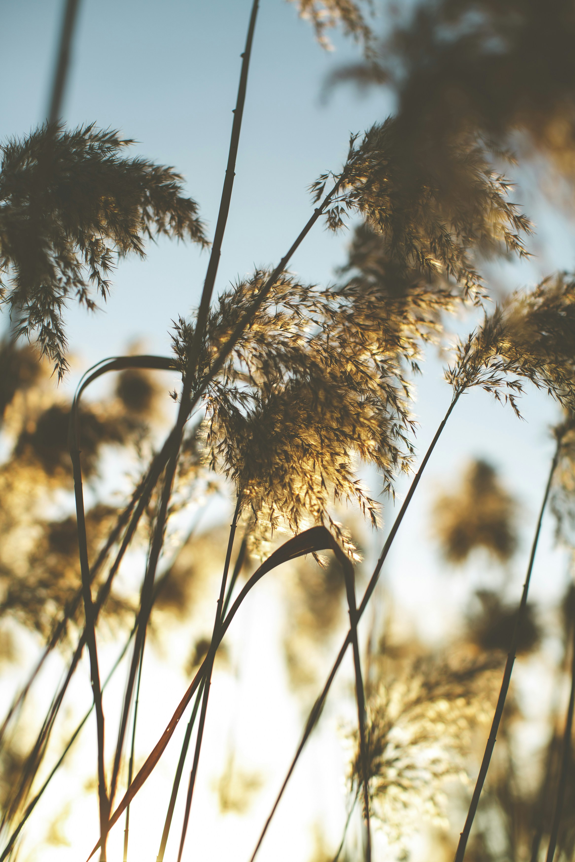 Photo by markusspiske
