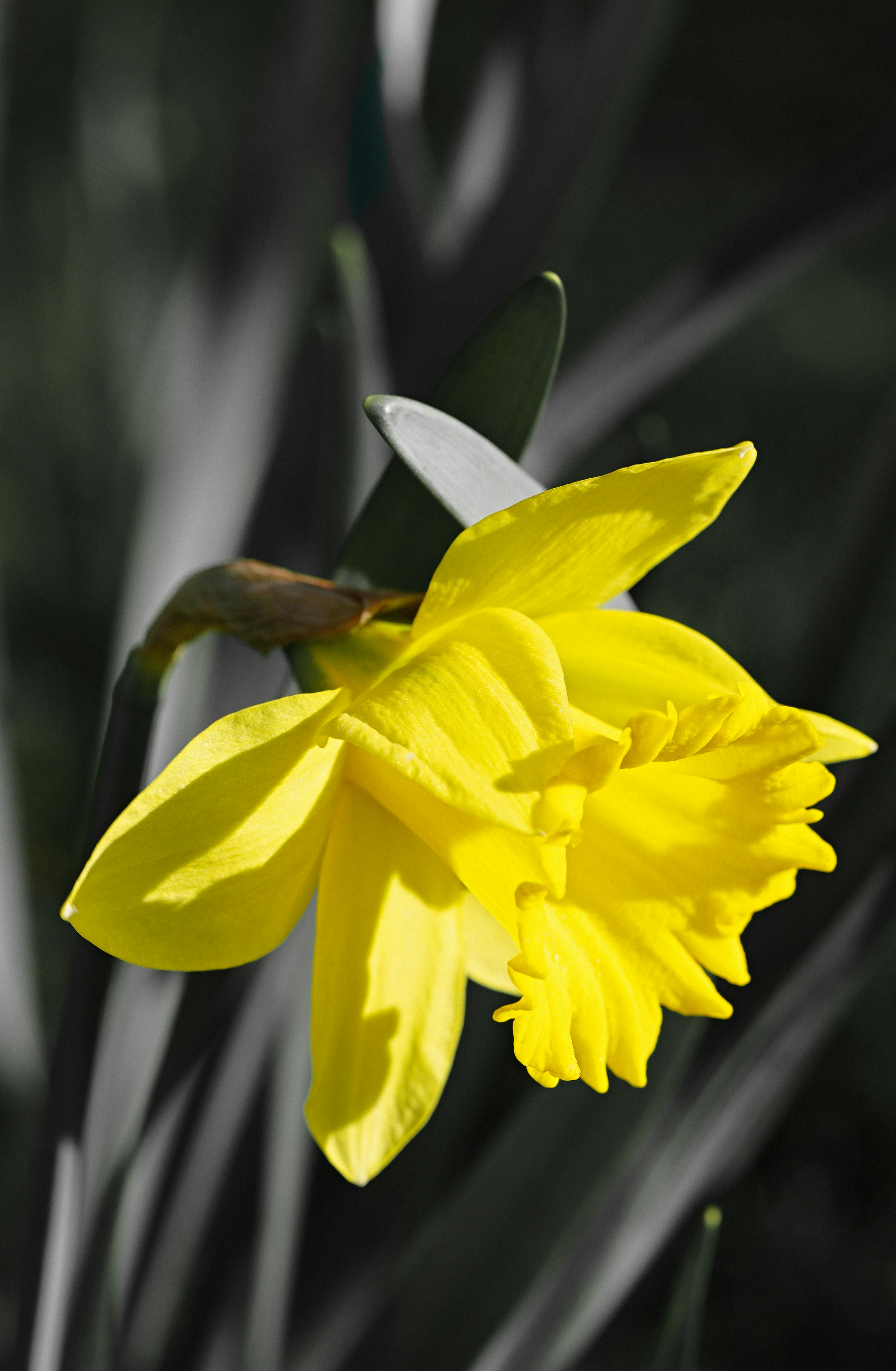 Photo by grievek1610begur