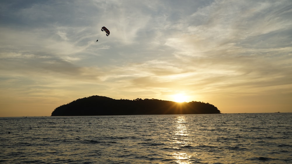 silhouette of bird flying over the sea during sunset