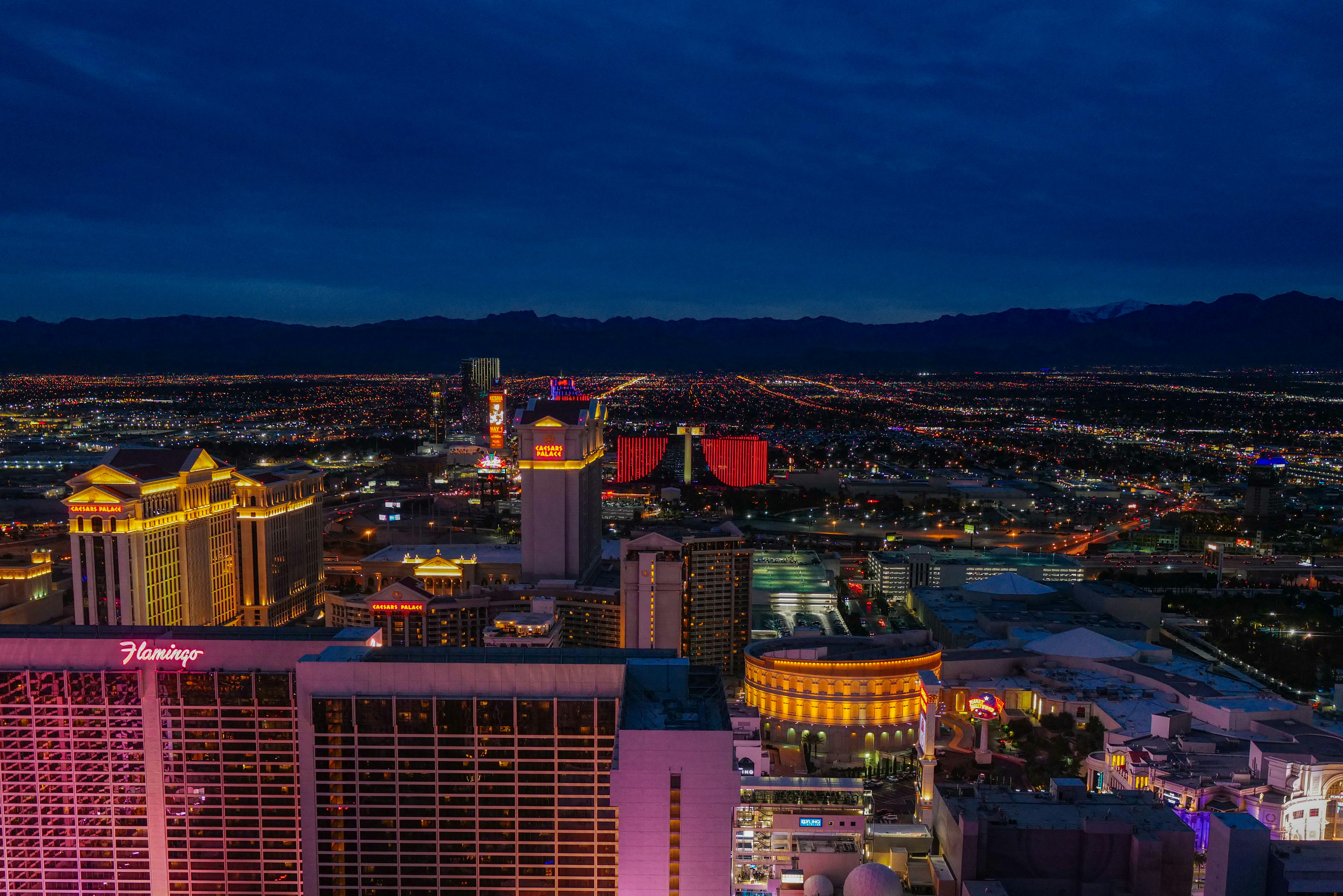 city with high rise buildings during night time