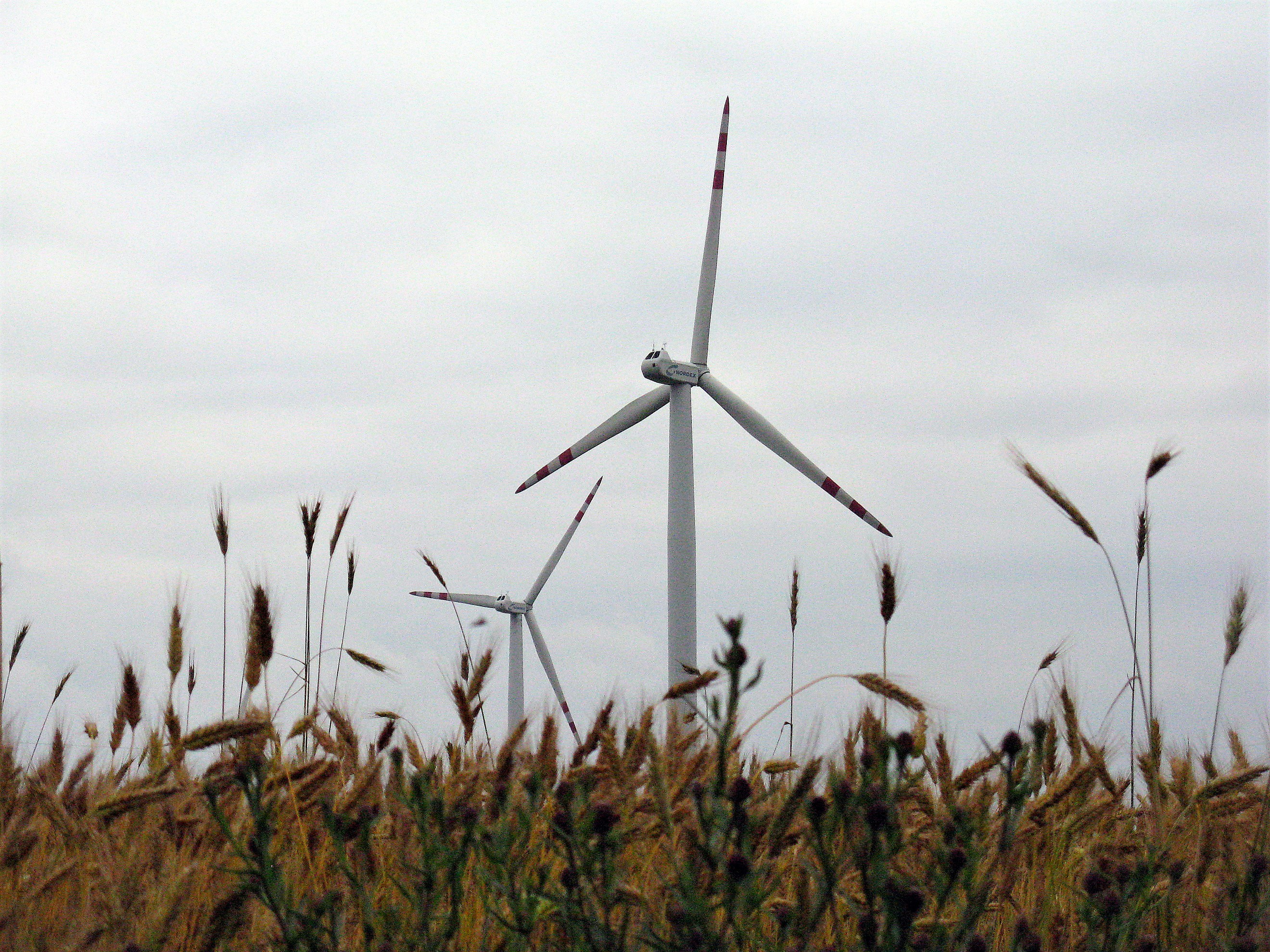 Photo by arozwadowska