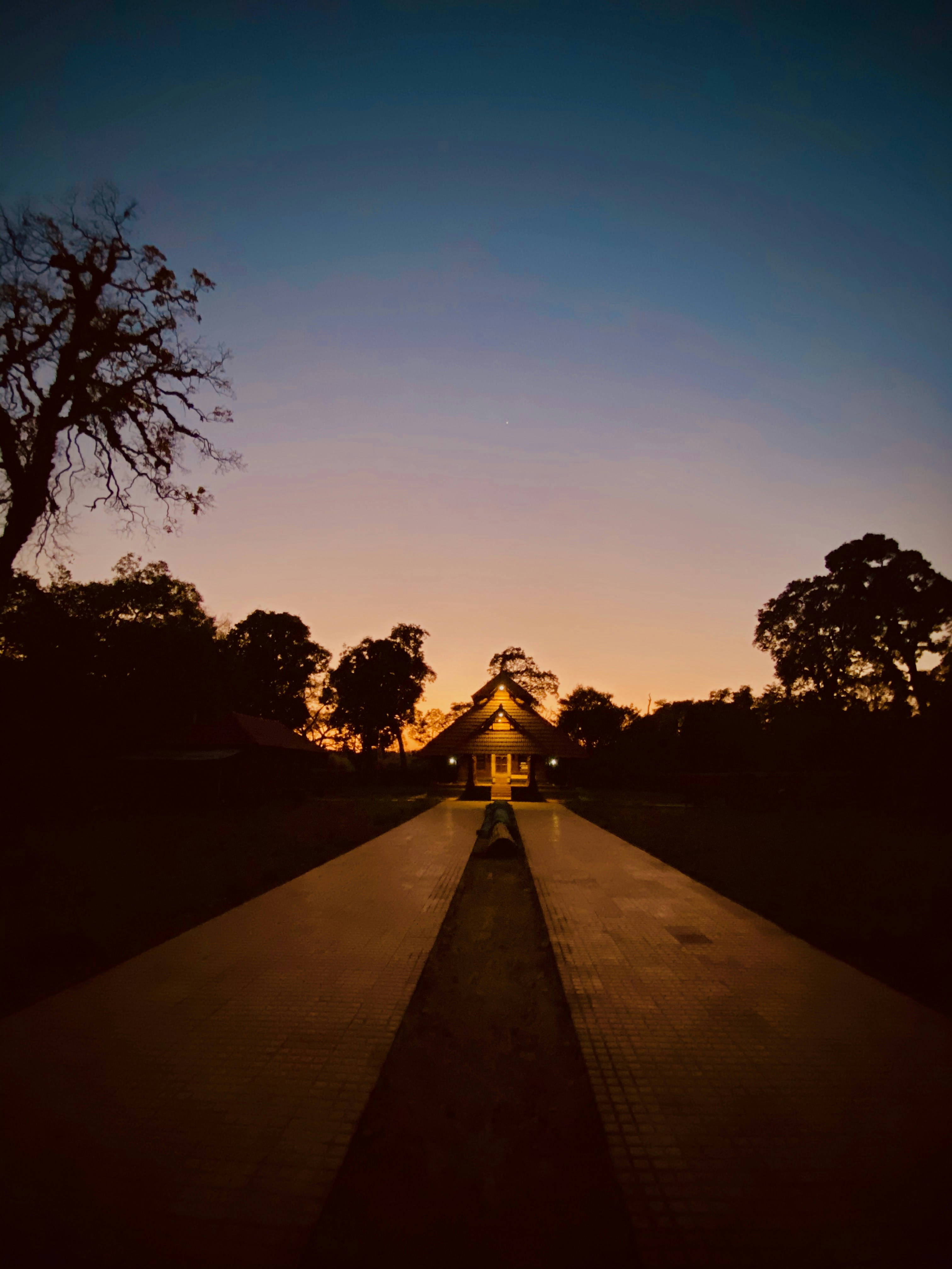 Photo by priyankarao