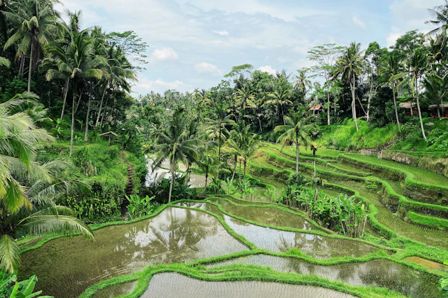 Ubud 5-Day Luxury Itinerary: Classic Routes & Fine Dining