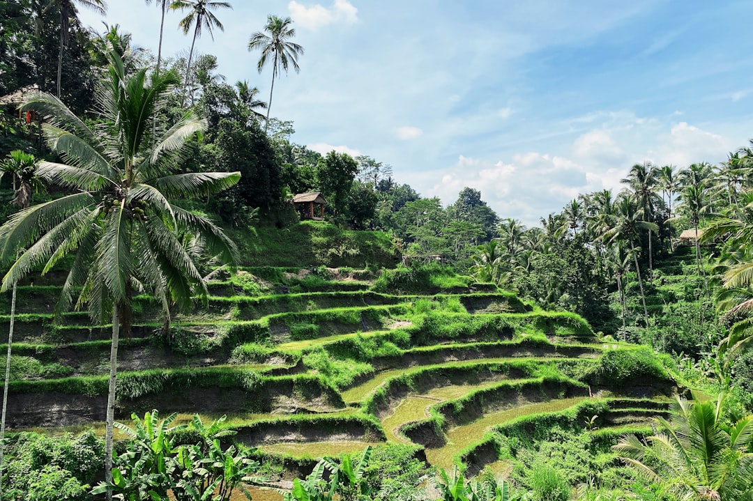 Your Ultimate Traveler's Guide to the 10 Best Places to Visit in In… — Your Ultimate Traveler's Guide to the